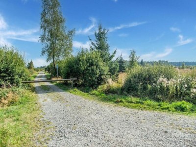 Holiday house Ferienhaus in Willingen mit eigenem Garten - Environment photo 30