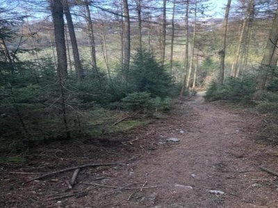 Holiday house Ferienhaus in Willingen mit eigenem Garten - Environment photo 32