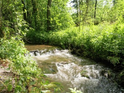 Holiday house Ferienhaus in Willingen mit eigenem Garten - Environment photo 35