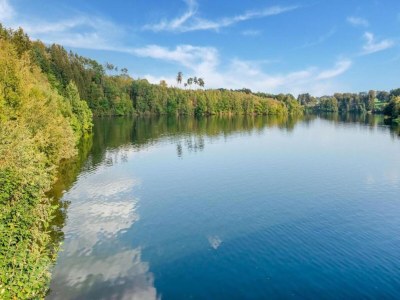Holiday house Ferienhaus in Willingen mit eigenem Garten - Environment photo 36