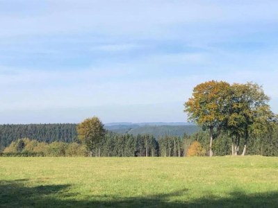 Holiday house Ferienhaus in Willingen mit eigenem Garten - Environment photo 37