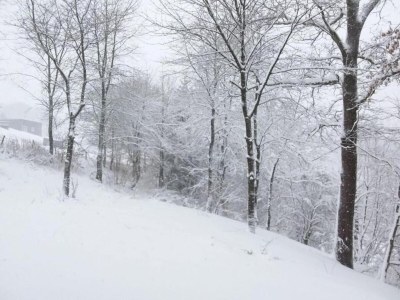 Holiday house Ferienhaus in Willingen mit eigenem Garten - Environment photo 38