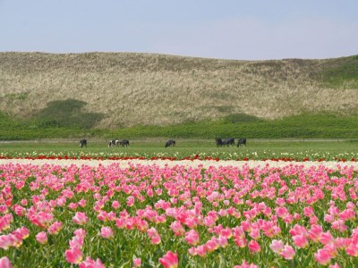 Holiday house Korre 8 - Environment photo 23