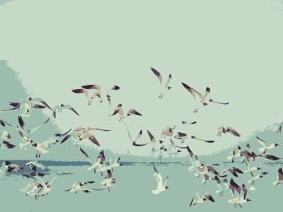 Holiday house Korre 8 - Environment photo 24