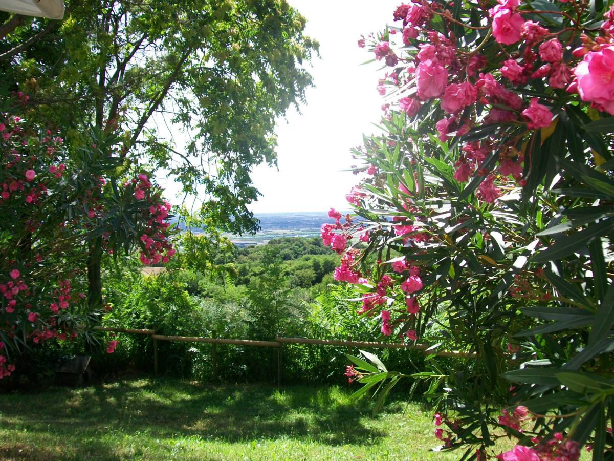 Cottage Bella Vista - Outdoor photo 5