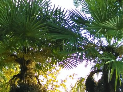 Cottage Bella Vista - Outdoor photo 6