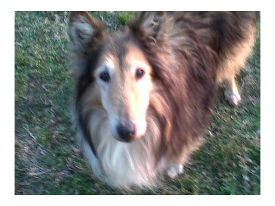 Cottage Bella Vista - Outdoor photo 10