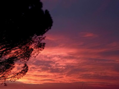 Cottage Bella Vista - Outdoor photo 15