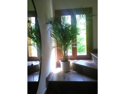 Cottage Bella Vista - Features photo 25