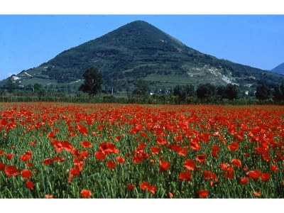 Cottage Bella Vista - Environment photo 30