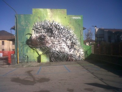 Cottage Bella Vista - Environment photo 34