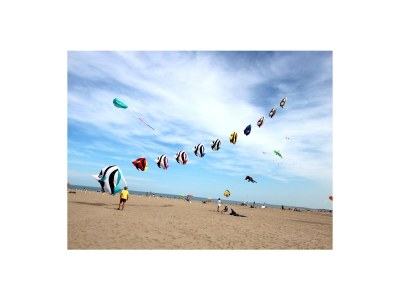 Cottage Bella Vista - Environment photo 36