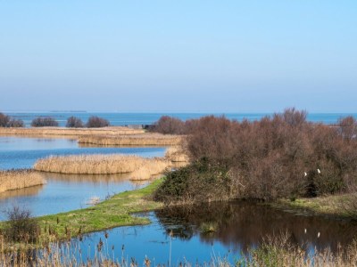 Cottage Bella Vista - Environment photo 37