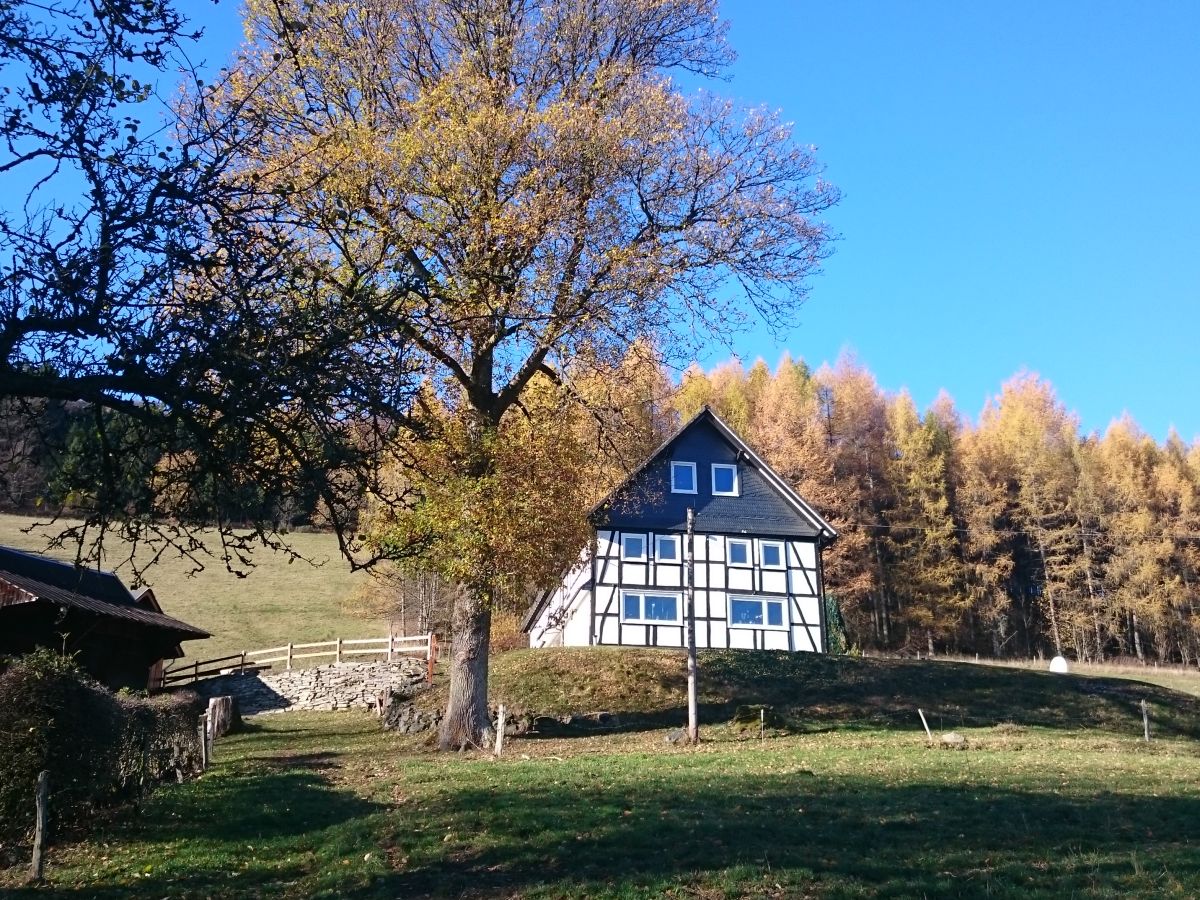 Holiday apartment AlmZeit-Sauerland - Outdoor photo 2