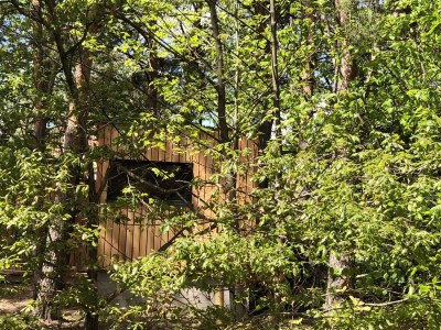 Holiday house 2 Unter den Bäumen - Outdoor photo 7