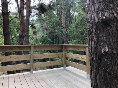 Holiday house 2 Unter den Bäumen - Outdoor photo 8