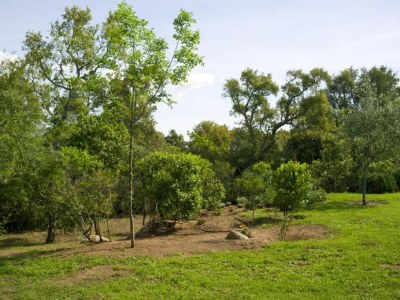 Holiday house Charming house  Sotta - Outdoor photo 6