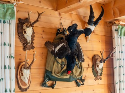 Alpine hut Schoberalm - Features photo 7