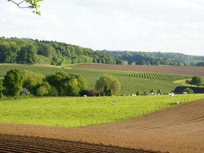 Holiday house Domain Hellebeuk - Environment photo 22