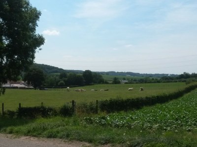 Holiday house Domain Hellebeuk - Environment photo 24