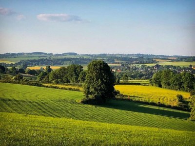 Holiday house Domain Hellebeuk - Environment photo 26