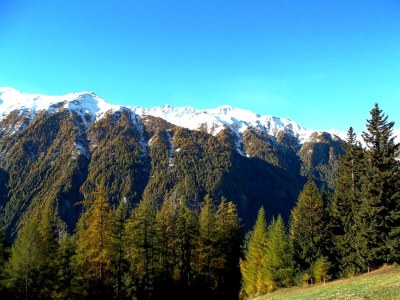 Holiday apartment Entenalm DG - Outdoor photo 9