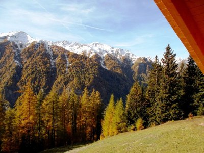 Holiday apartment Entenalm DG - Environment photo 17