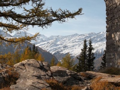 Holiday apartment Entenalm DG - Environment photo 18