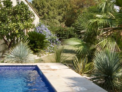 Holiday house Golf de St. Tropez - Environment photo 37