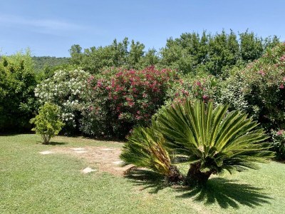 Holiday house Golf de St. Tropez - Environment photo 39