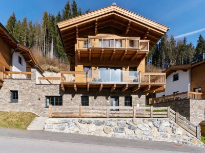 Chalet Chalet in Mühlbach near Hochkönig Ski in Hochkoenig - Chalet