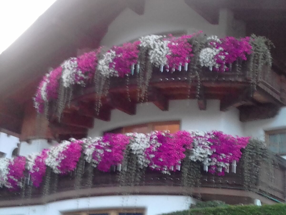 Holiday apartment Hofer Lydia 1 - Outdoor photo 4