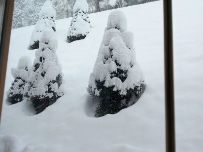 Holiday apartment Hofer Lydia 1 - Outdoor photo 19