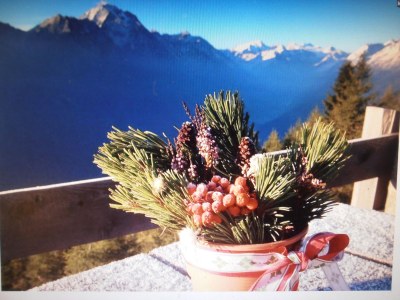 Holiday apartment Hofer Lydia 1 - Environment photo 33