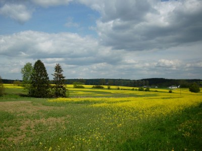 Holiday apartment " Angelika Rotthaus " - Environment photo 11