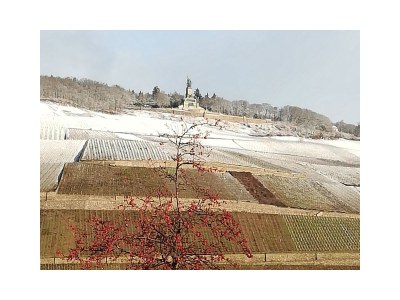 Holiday apartment " Angelika Rotthaus " - Environment photo 21