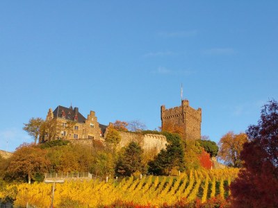 Holiday apartment " Angelika Rotthaus " - Environment photo 22