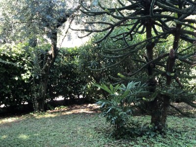 Holiday house Ferienhaus in Sirmione in der Nähe des Gardasees - Outdoor photo 7