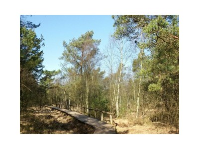 Holiday house Duden - Environment photo 28