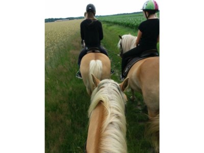 Holiday house Duden - Environment photo 30