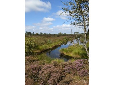 Holiday house Duden - Environment photo 32