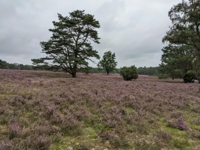 Holiday house Duden - Environment photo 33