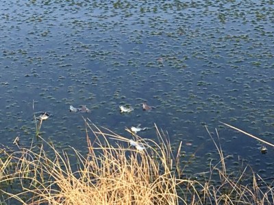 Holiday house Duden - Environment photo 38