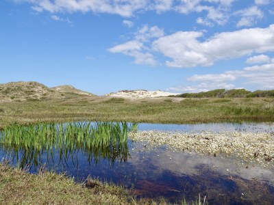 Holiday house de Stern - Environment photo 19