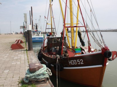 Holiday apartment Strandpieper 1 - Environment photo 14