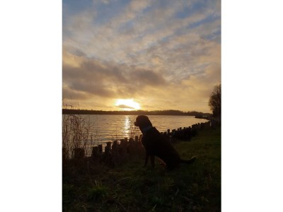 Holiday apartment Strandpieper 1 - Environment photo 20