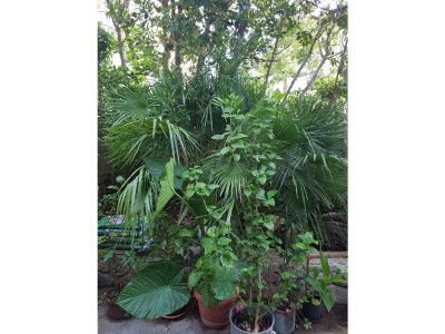 Holiday house Sirius - Outdoor photo 6