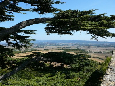 Holiday house Zwart - Environment photo 36