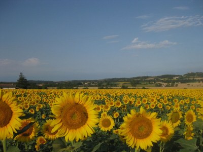 Holiday house Zwart - Document photo 44