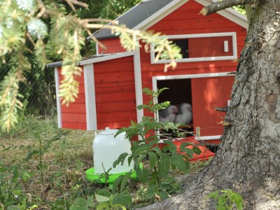 Holiday apartment A Deubert-Gehrmann - Outdoor photo 5